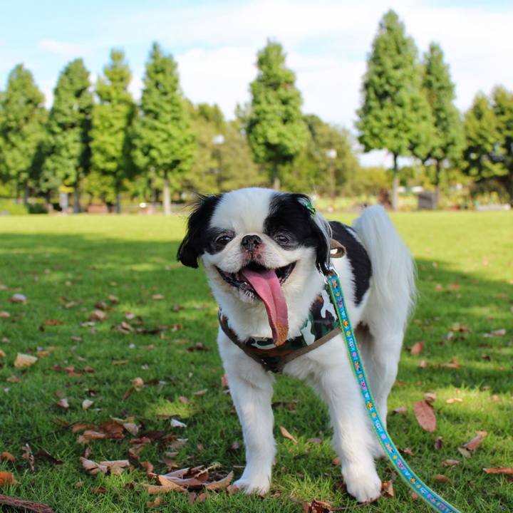 35f8dc13 154a 41e4 8eeb 04cefe290a68 1534155925113