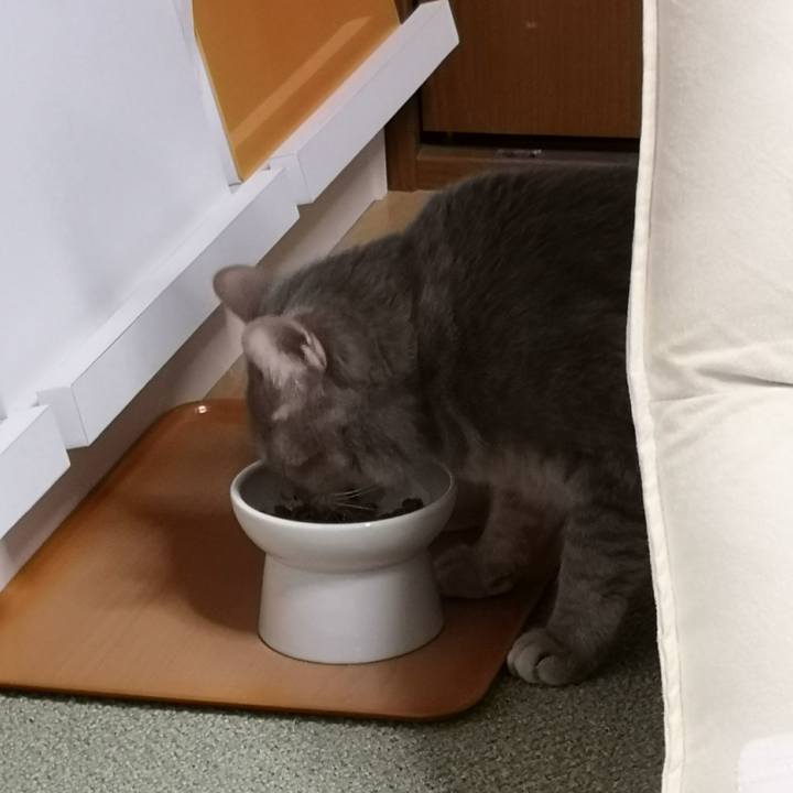 35f8e183 50ac 4d8f 9766 1305c2d1b2aa 1589727198647