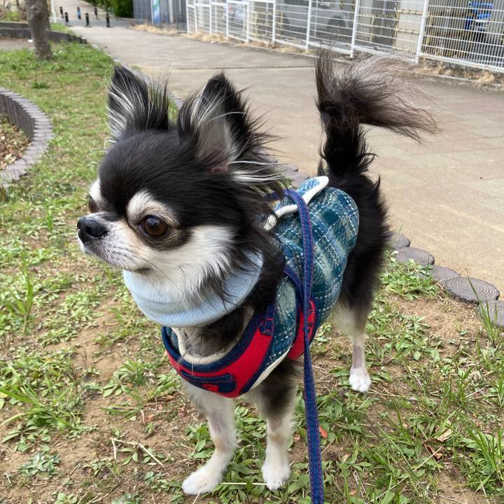 35f92d5f 4252 4f7c be60 33bcb2f2c0f8 1710950184549