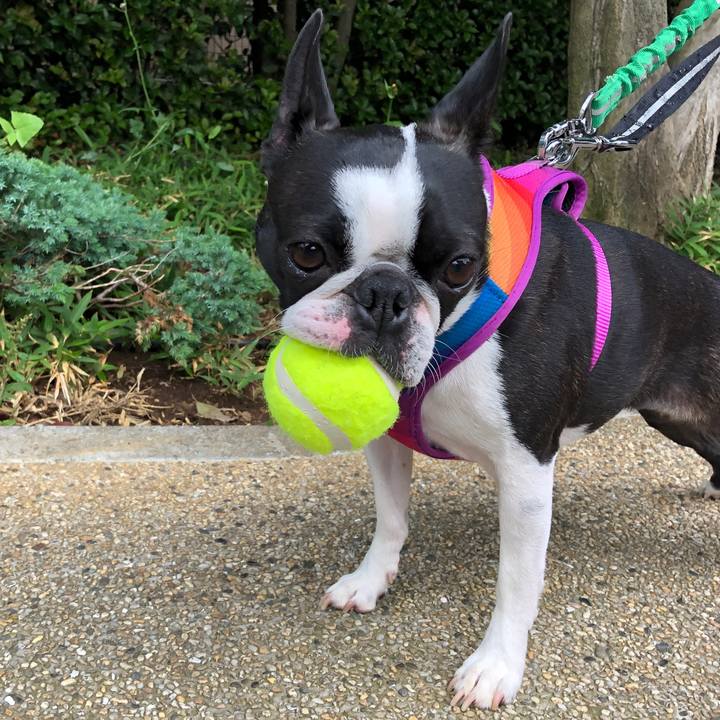 35f9354c 1715 4f4f 9c53 4069bc64f0e6 1590578442367