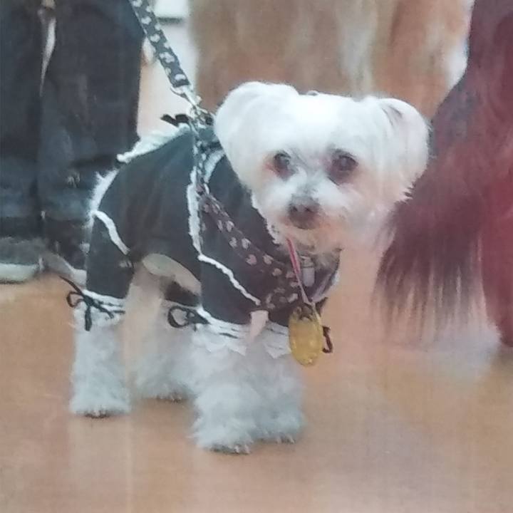 35f987bc 9d6f 444e adae ff531794df05 1528257987734