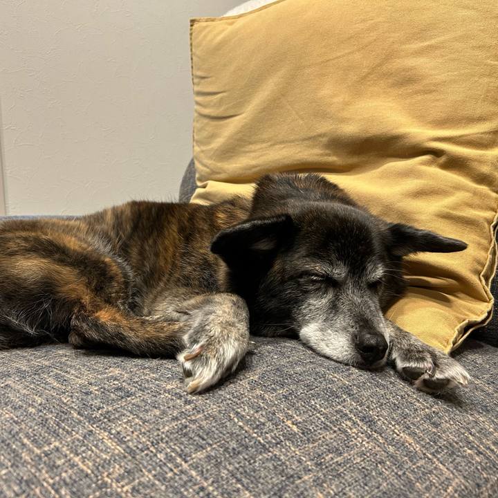 35f9a55e f622 4917 aa82 a088911fe7e1 1714902499869