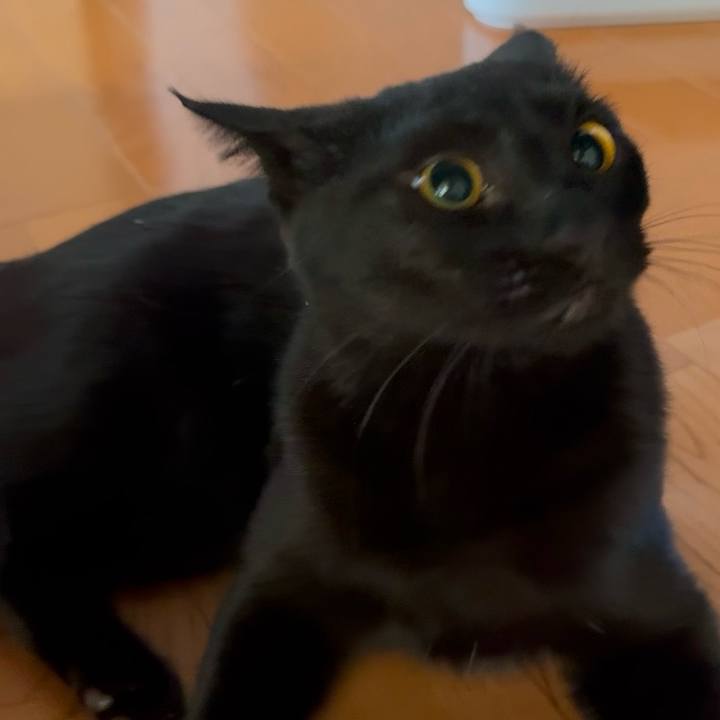 35f9ad23 64e4 4047 96db 0b3f6478aeff 1738713635986