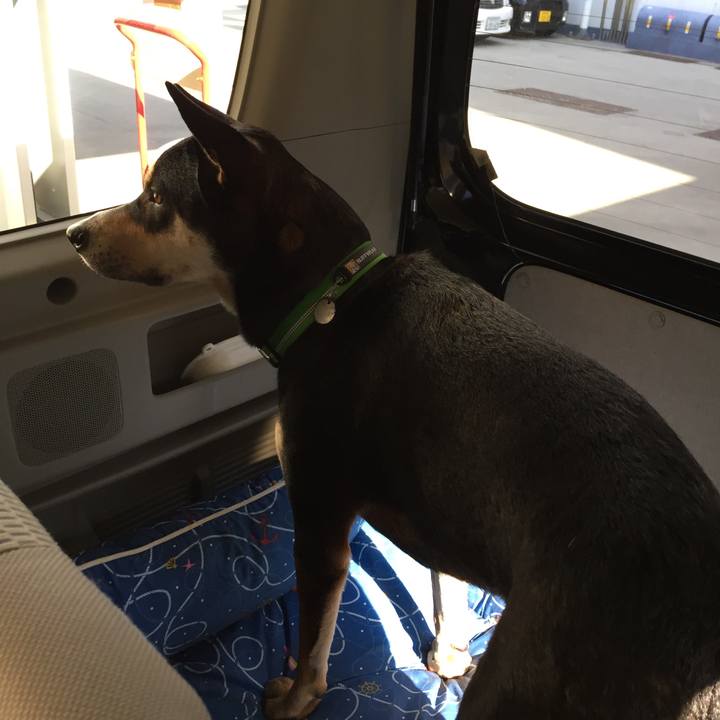 35f9d83e 04b6 4949 ae2b 448d3b012ac6 1541815649759