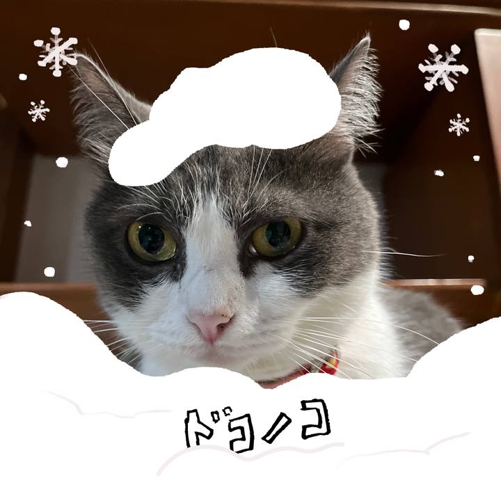 35f9e9fd 9d90 49dc a192 3a7377232bd3 1772106869029