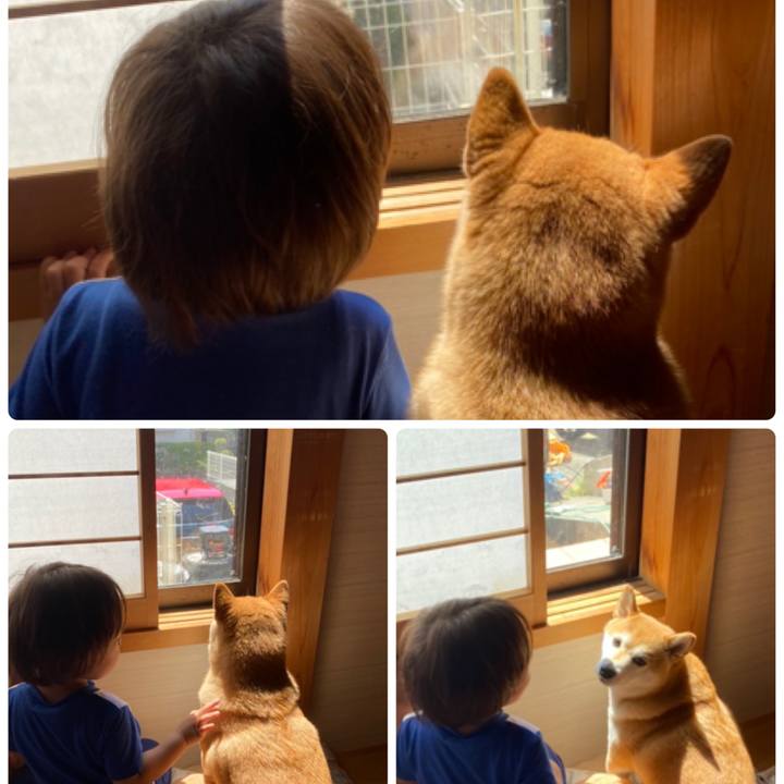 35f9ea45 fe24 40fe 829c cd888fac4202 1626920629954