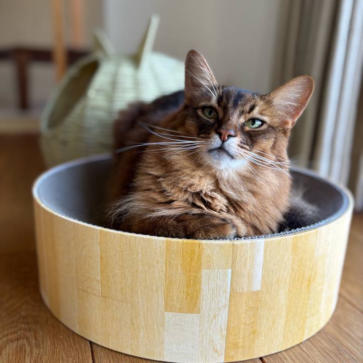 35fa4259 362f 4ba7 9e07 9dfe32f79579 1752454183698