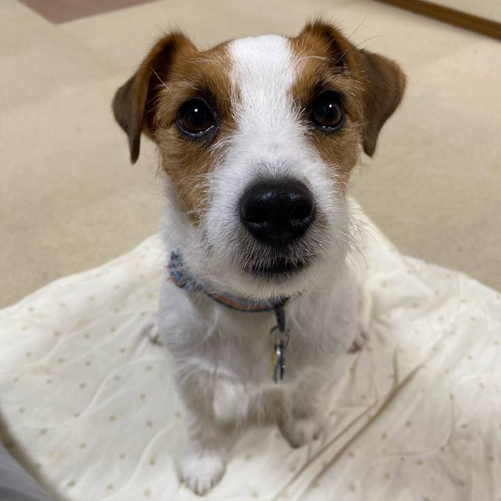 35fa4af0 29ec 418f b98c d57a1f309192 1752670658714