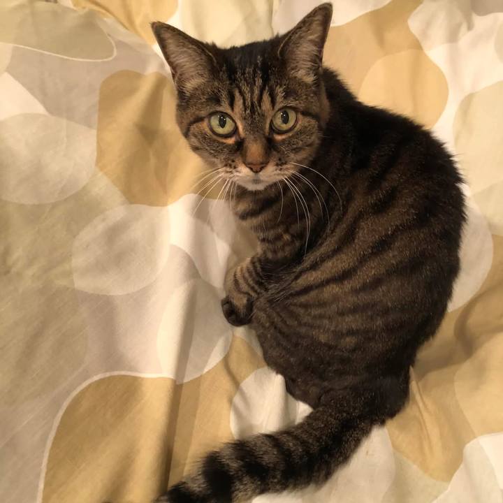 35fa5251 e60f 4c6d a119 26ebeb73b21f 1764730848015