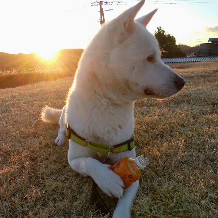 35fa545e 325c 45de 9845 b36f969cbd4c 1578015572739