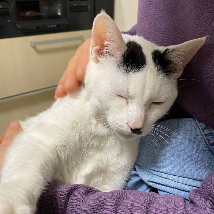 35fa7467 aaa6 43c2 a95f c7a39be97e68 1615622672249