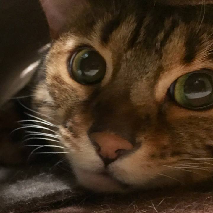 35fac067 c3ad 475a 9c19 3035fb0fb005 1512170252593