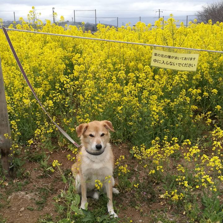 35fad608 cf46 49a0 8633 4e8c5c3aef45 1521431778370