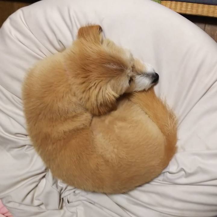 35fadaf2 4c3c 42b3 a1be 587a55860a1b 1563111947563