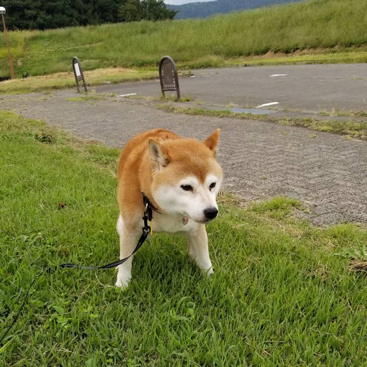 35faeff9 a36c 4db4 a6c8 5a63a330472a 1600332455294