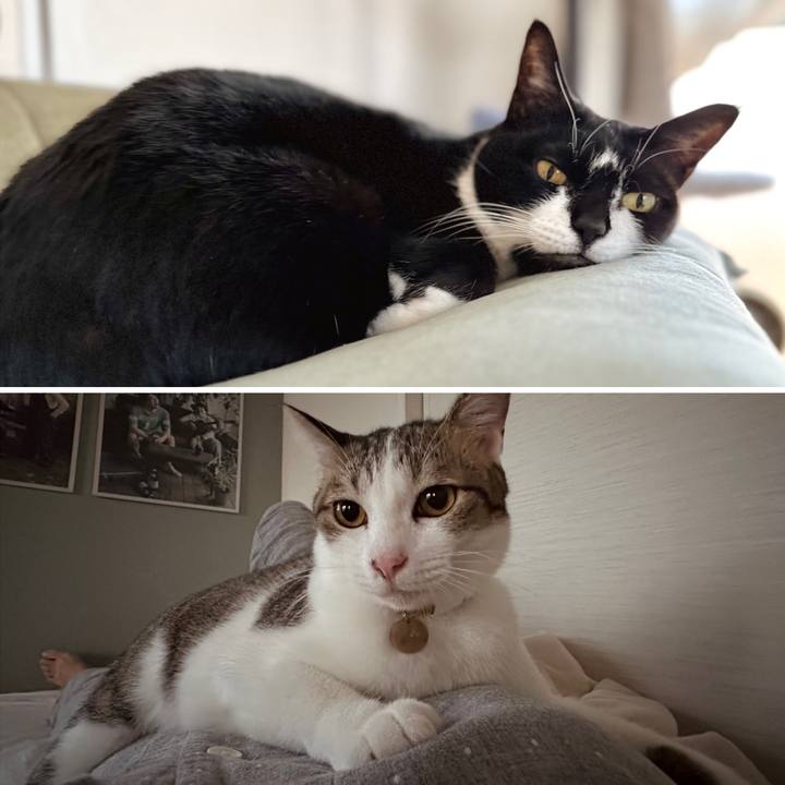 35fb1f6e 97ff 43e2 98e9 a80218667679 1759699412743