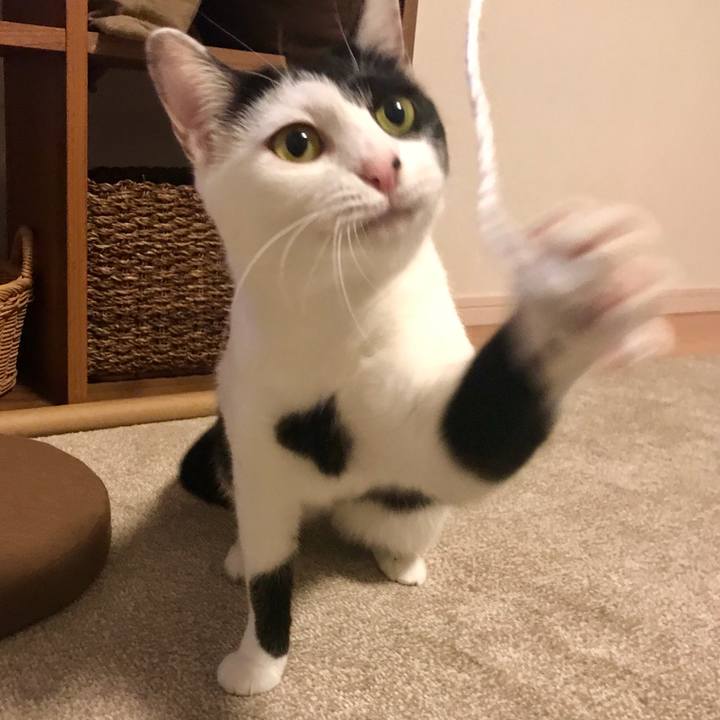 35fb5d16 37b0 44ea 9f48 9b9ec0a82ce1 1511178155339