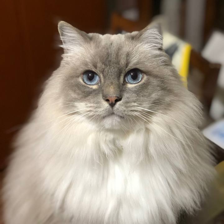 35fb6bf0 2c63 421b ae63 c58b447520fa 1576416223426