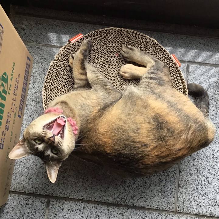 35fb8c31 8724 477b ac6d ef516f232356 1591944128856