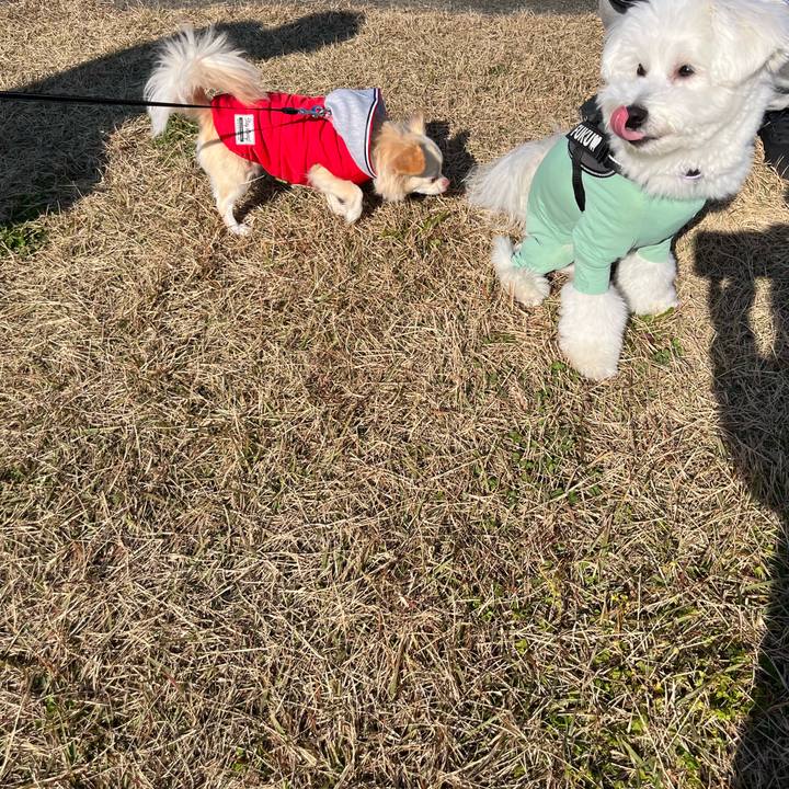 35fb989c 2792 4e2d 8bce 30e959a12164 1763645871274