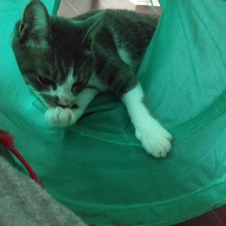 35fbbec9 354e 4263 a315 42d24580d149 1599346743495