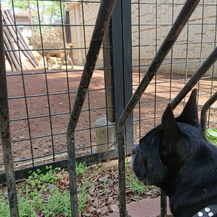 35fbf7e1 f06c 4fb7 b93f 80b9fab194df 1617767661455