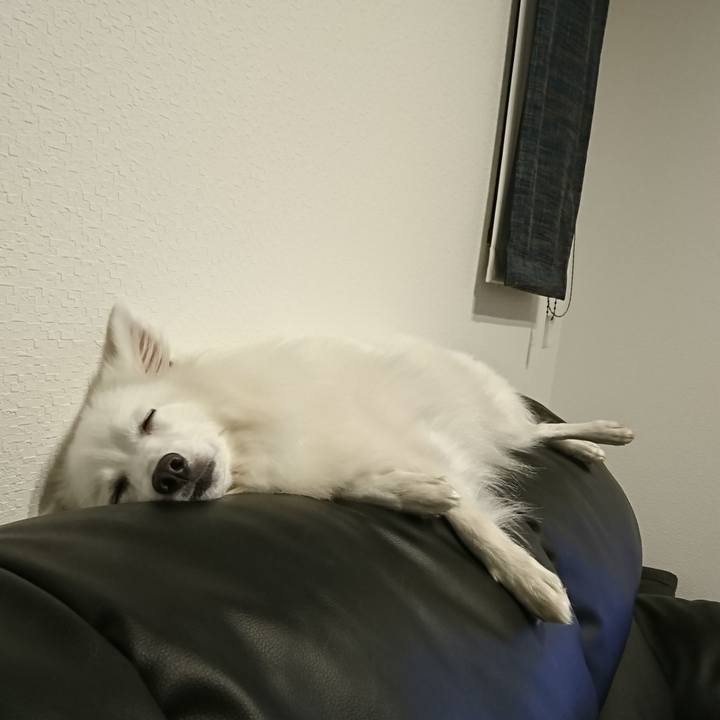 35fc22de 4516 4423 afdf 80656a99edc3 1549273849958