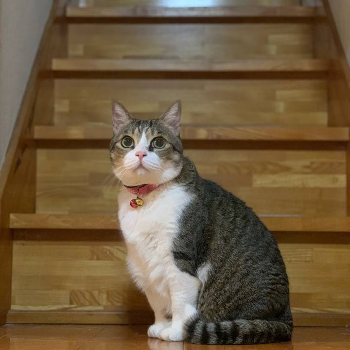 35fc2cf9 ed0e 4c62 9f80 2b4e2b15517e 1668345256313