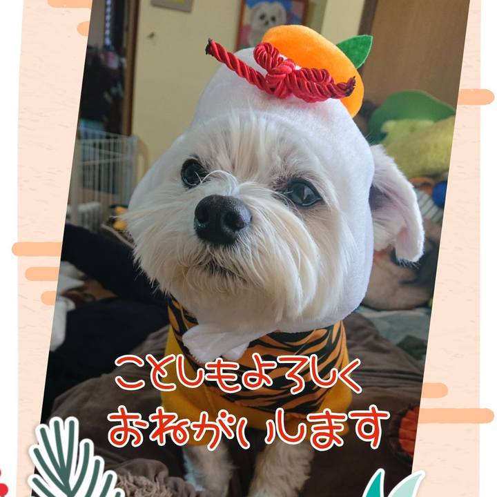 35fc7cd6 4c75 4667 86c1 2780696214cf 1641001733994