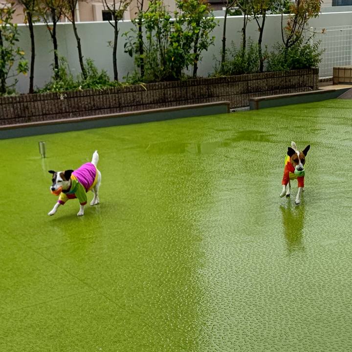 35fc91f2 64ad 411a a9e3 3fec5b9277e9 1620871707285