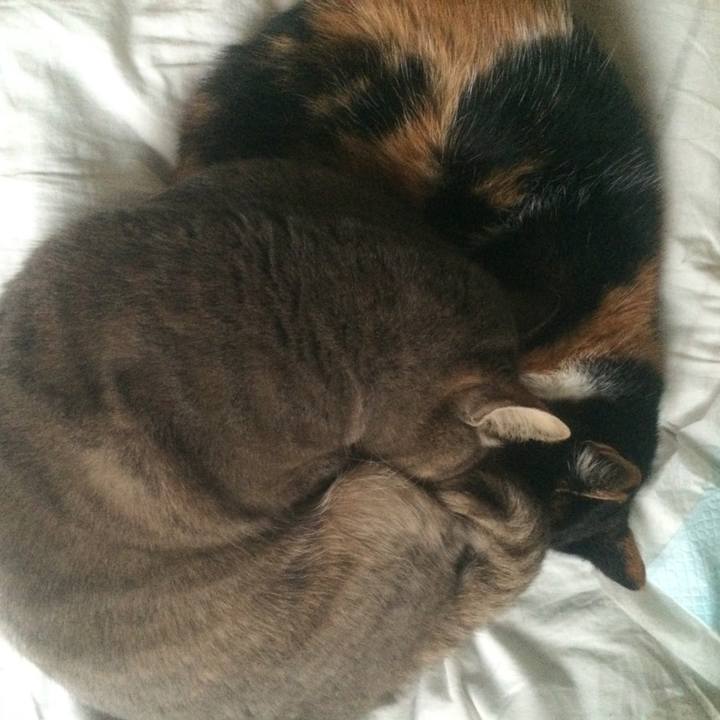 35fca78e 0181 4b52 9bdc c1e2d5ee2dfc 1512725588419