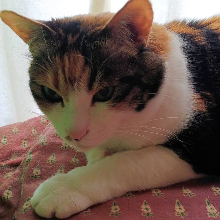 35fcc321 7fef 497e 90e5 45f24f487561 1560804801686