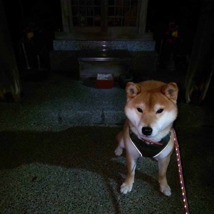 35fd1278 3d38 4652 8ef5 d4956c1bd022 1770851044300