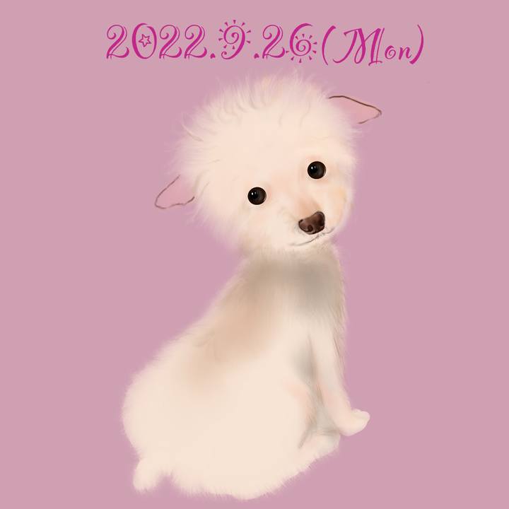 35fd2f3f 78f4 4245 9ee6 fe26adca9615 1664196849370