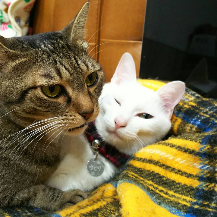 35fd3d20 61d5 4bde a00d 0c5290b61322 1547736035013