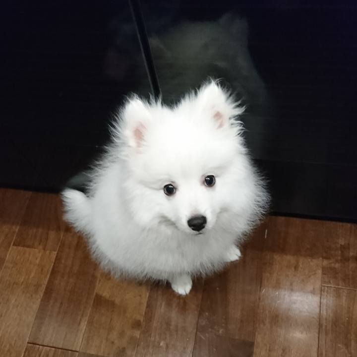 35fd41d2 1e23 482c 9b5b ae3ce32f50a4 1547541680536