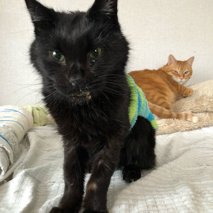 35fd4a3d 42ad 4796 8cea df8b295087bf 1647426591881