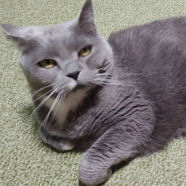 35fdab21 617c 42c7 be4b 0d9ea3614ef4 1678444212125