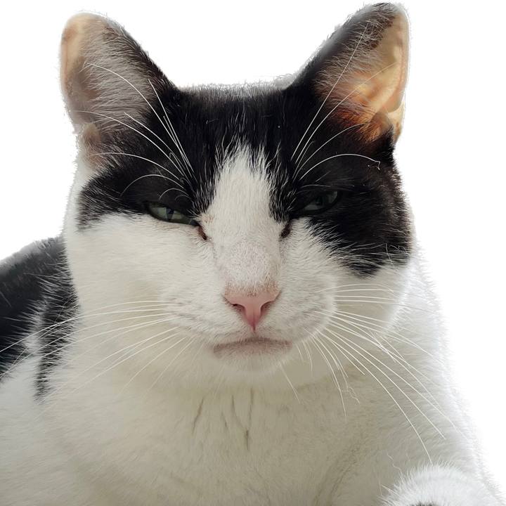 35fdac19 b1e5 4505 a39e c4eeb786f708 1663728170867