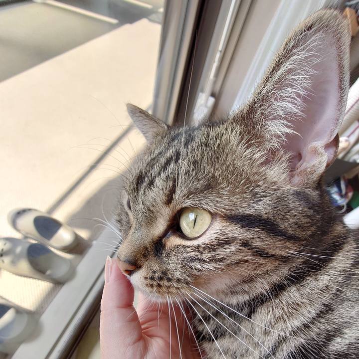 35fdcc24 571c 4ad8 a295 d4b8895581a8 1617768984933