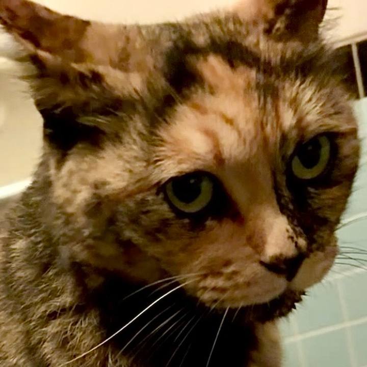 35fe0aa3 cf30 49c6 9278 6f37794086df 1751315078284