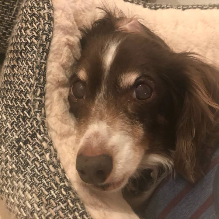 35fe4089 d4cc 448d b44c 391d3843f225 1573994125698