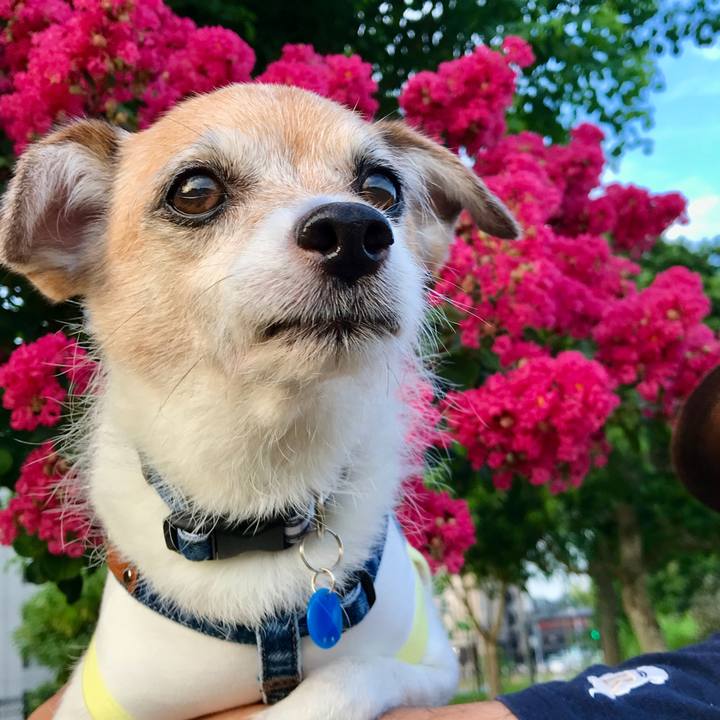 35fe69c9 63a3 45c3 9439 de9f6ca54d05 1660968990993