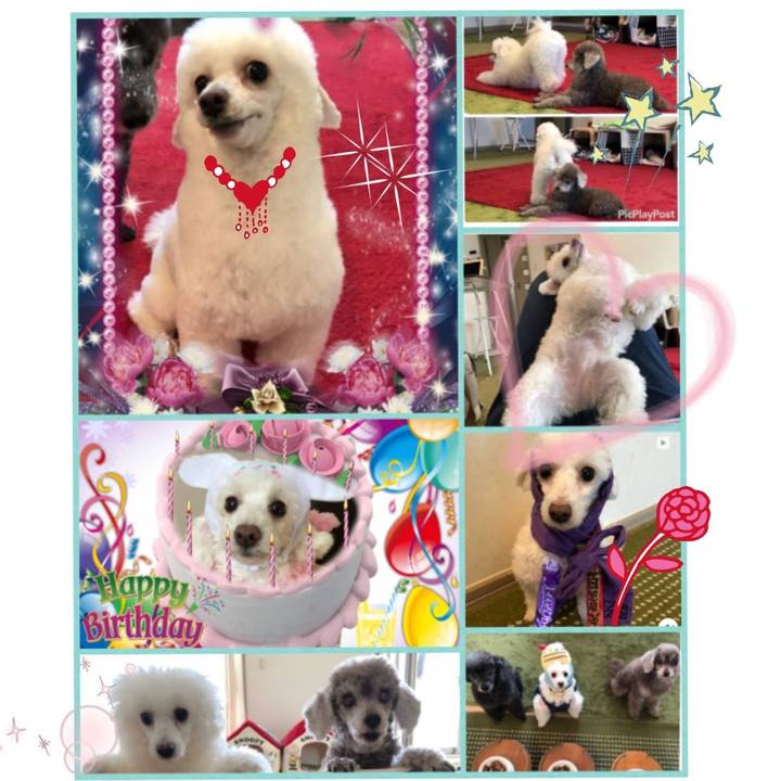 35fea1a6 0fd6 4ae6 b8f2 dc0a73ef4b86 1542369497162