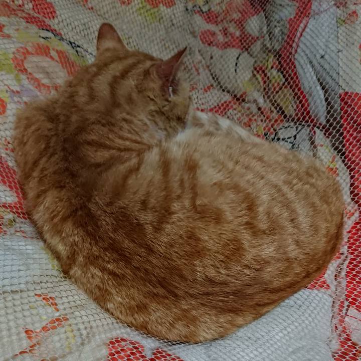 35fea75d b398 4e1c 9e85 37c7bb9182c3 1554812864267