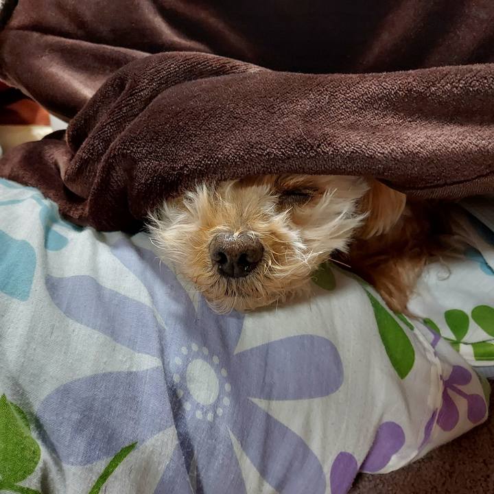 35ff0eea 54fa 4ecd abf1 b5dbc9da0251 1639694632893