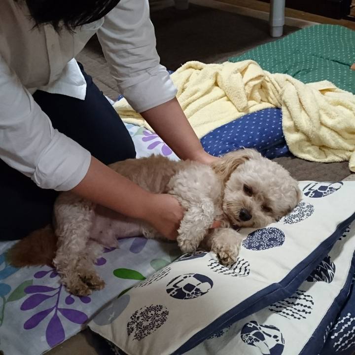 35ff1f48 df04 4e0a b7d5 761edd2ce3c2 1538782673392