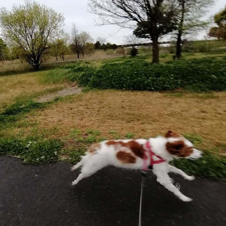 35ff4592 ffd2 40a0 ac00 04fe81683d52 1586743939546