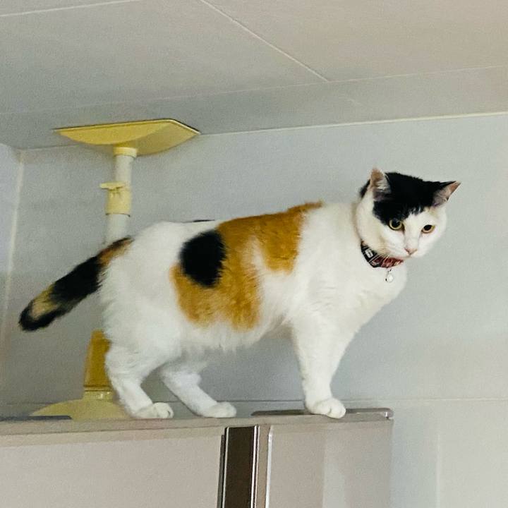 35ff4bfd de10 46b4 a2ce f92bdd2cbdc2 1654414209770