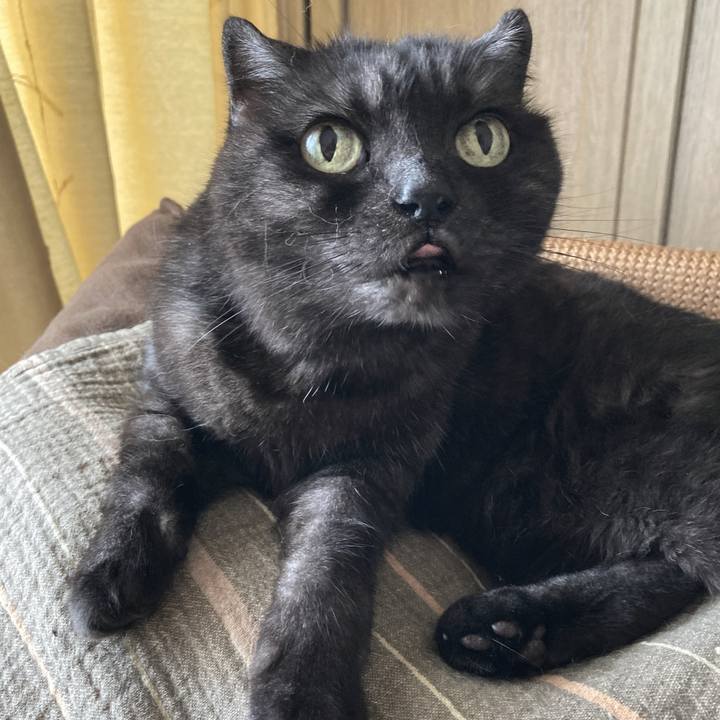 35ff606c 2f12 48d6 8099 23ee3d4dbaa8 1592197257503